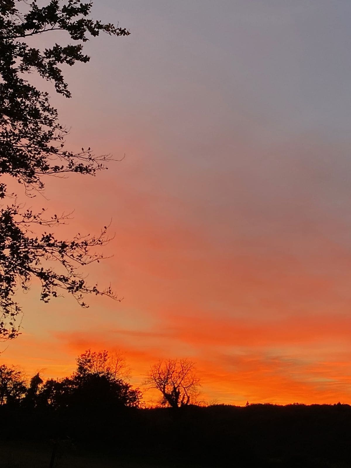 Coucher de soleil-compress