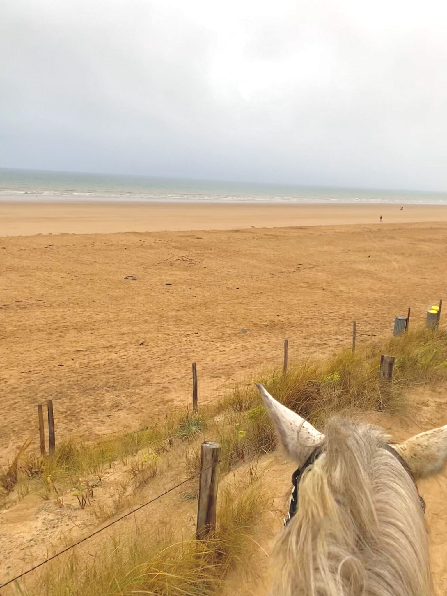 Equitation-compress