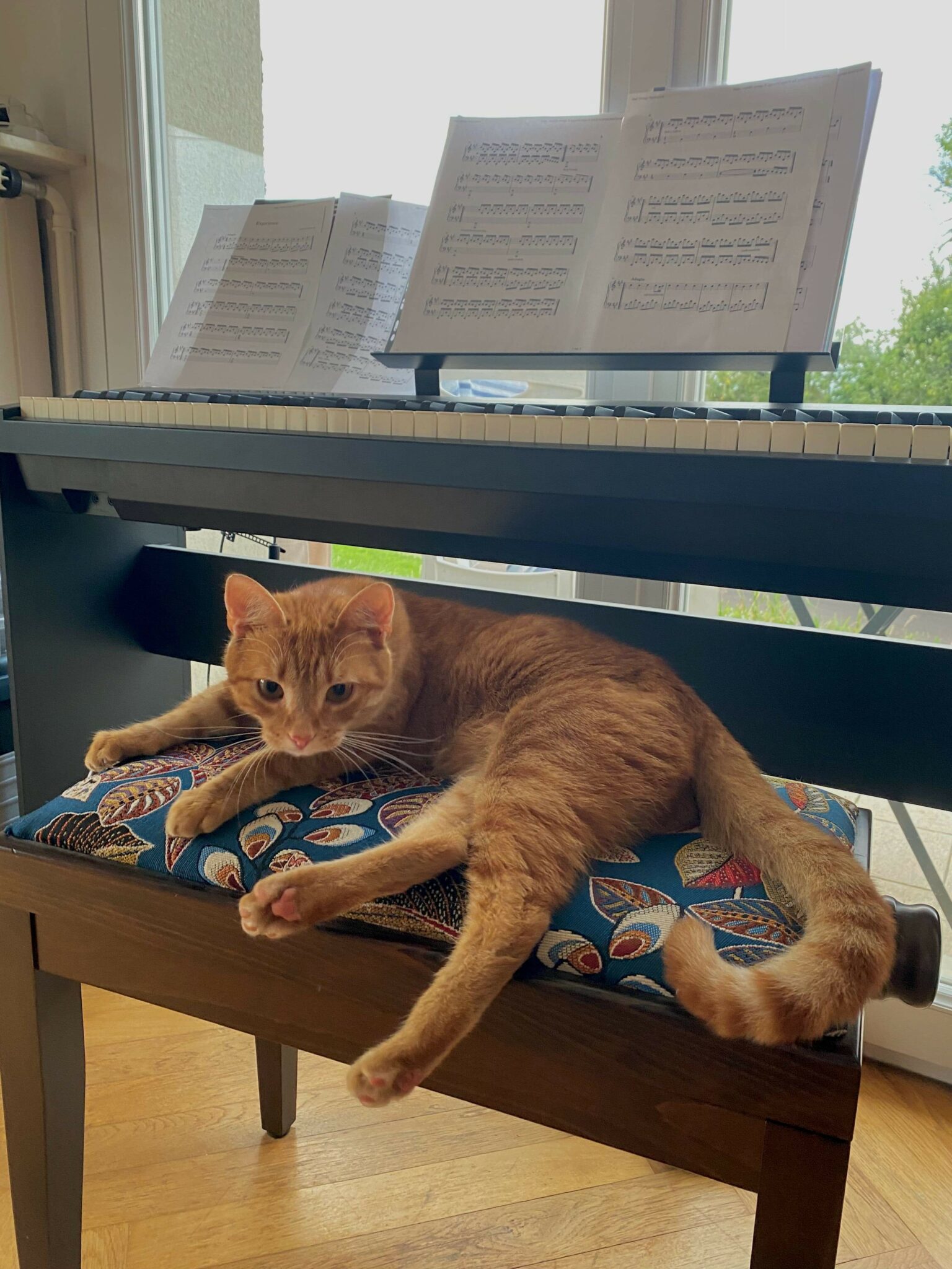 piano-compress